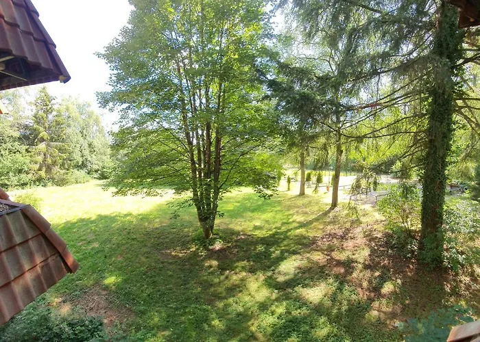 Waldgasthaus Am Schwarzenbruch 알렌바크