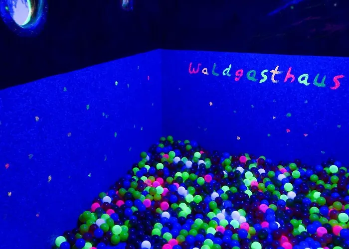 Hotel Waldgasthaus Am Schwarzenbruch Allenbach