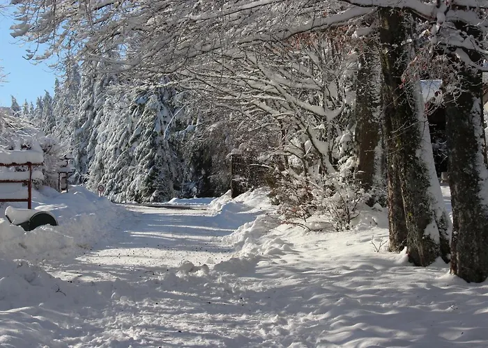 Hotel Waldgasthaus Am Schwarzenbruch Allenbach