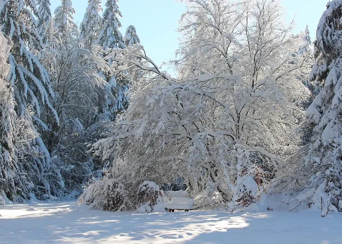Waldgasthaus Am Schwarzenbruch *